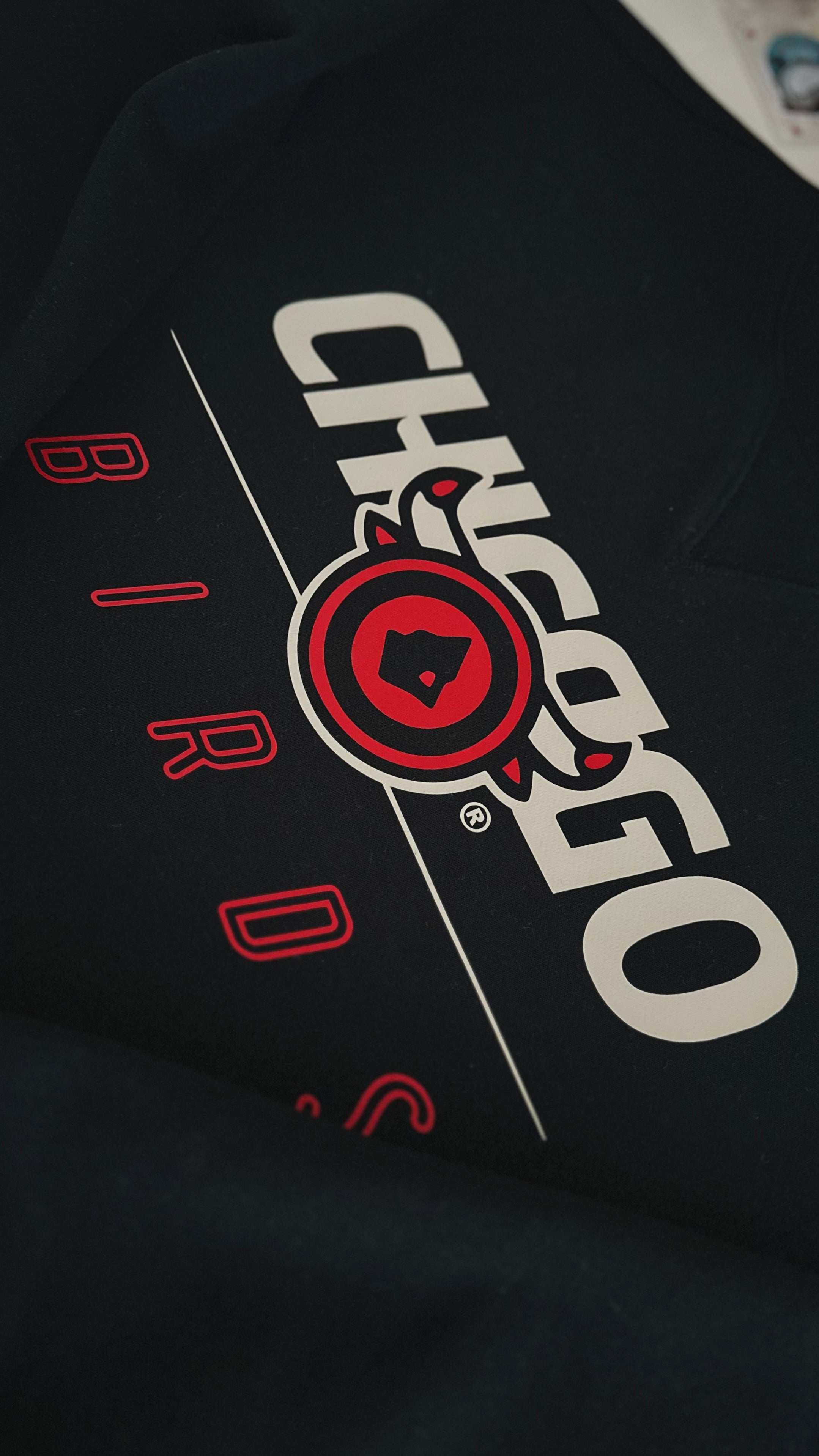 “Retro Chicago Birds” T-Shirt